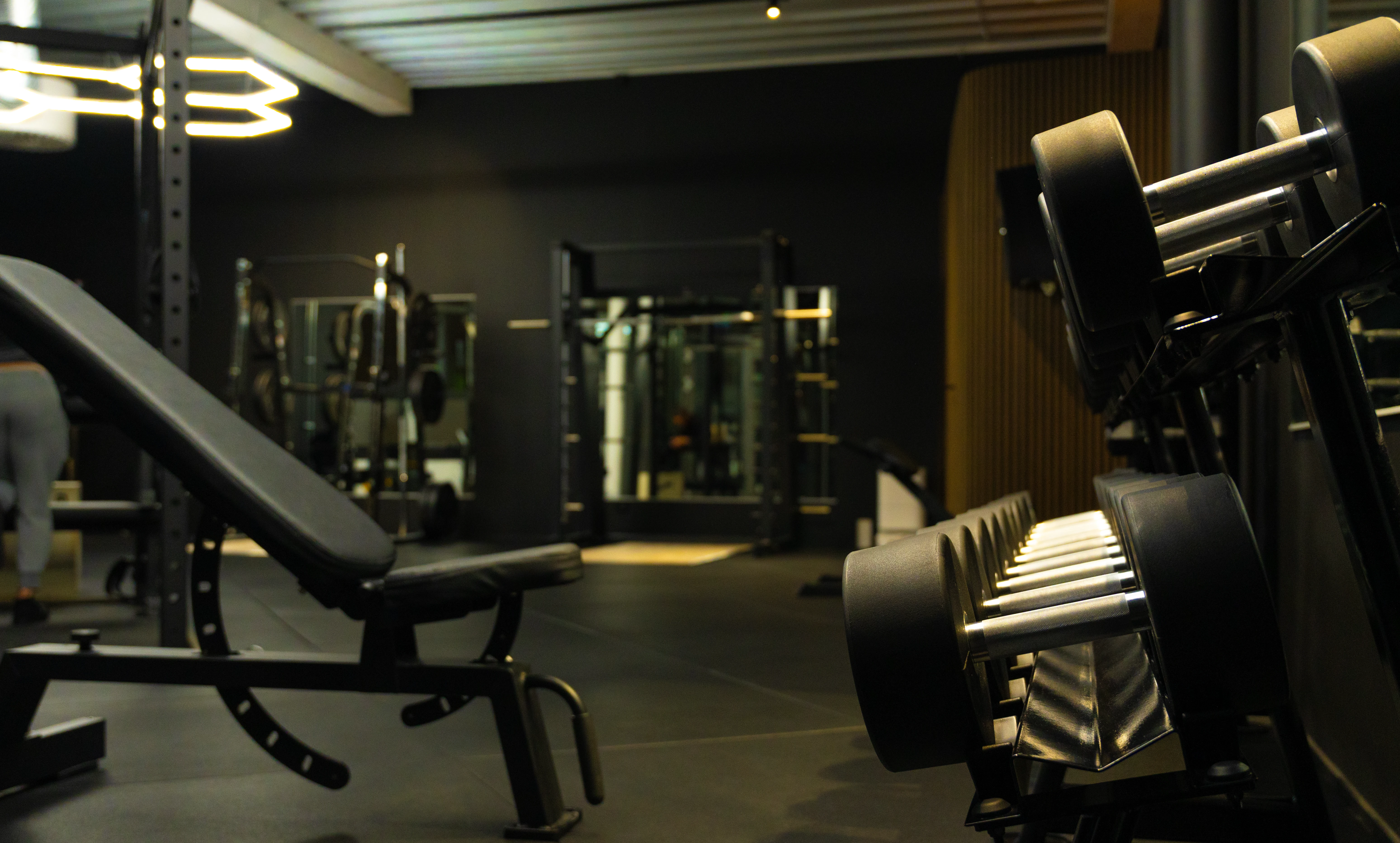 Performance Base interior